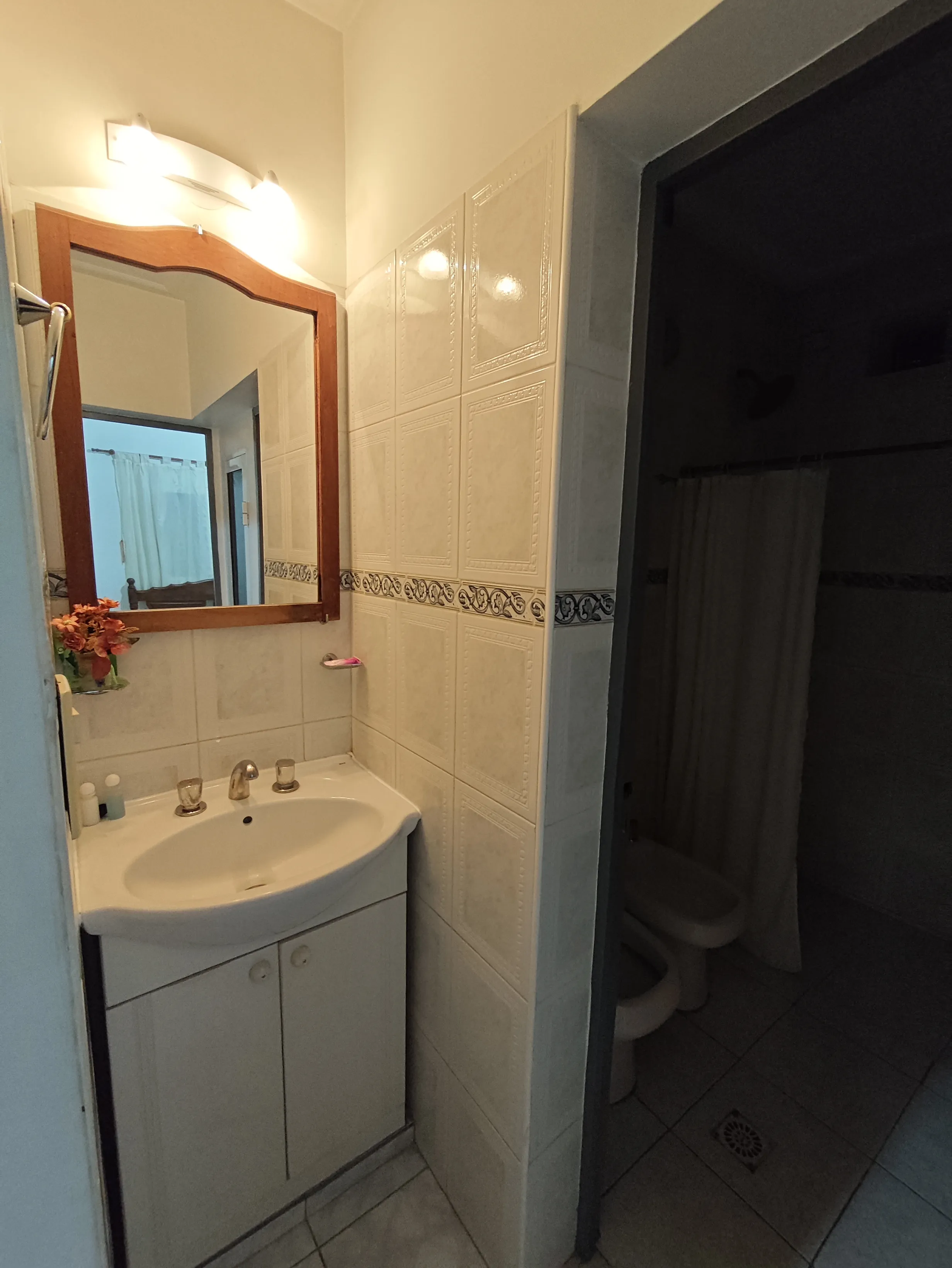 Departamento - Baño y antebaño